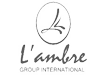 L'ambre